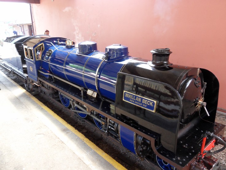 SAMSUNG DIGITAL CAMERA