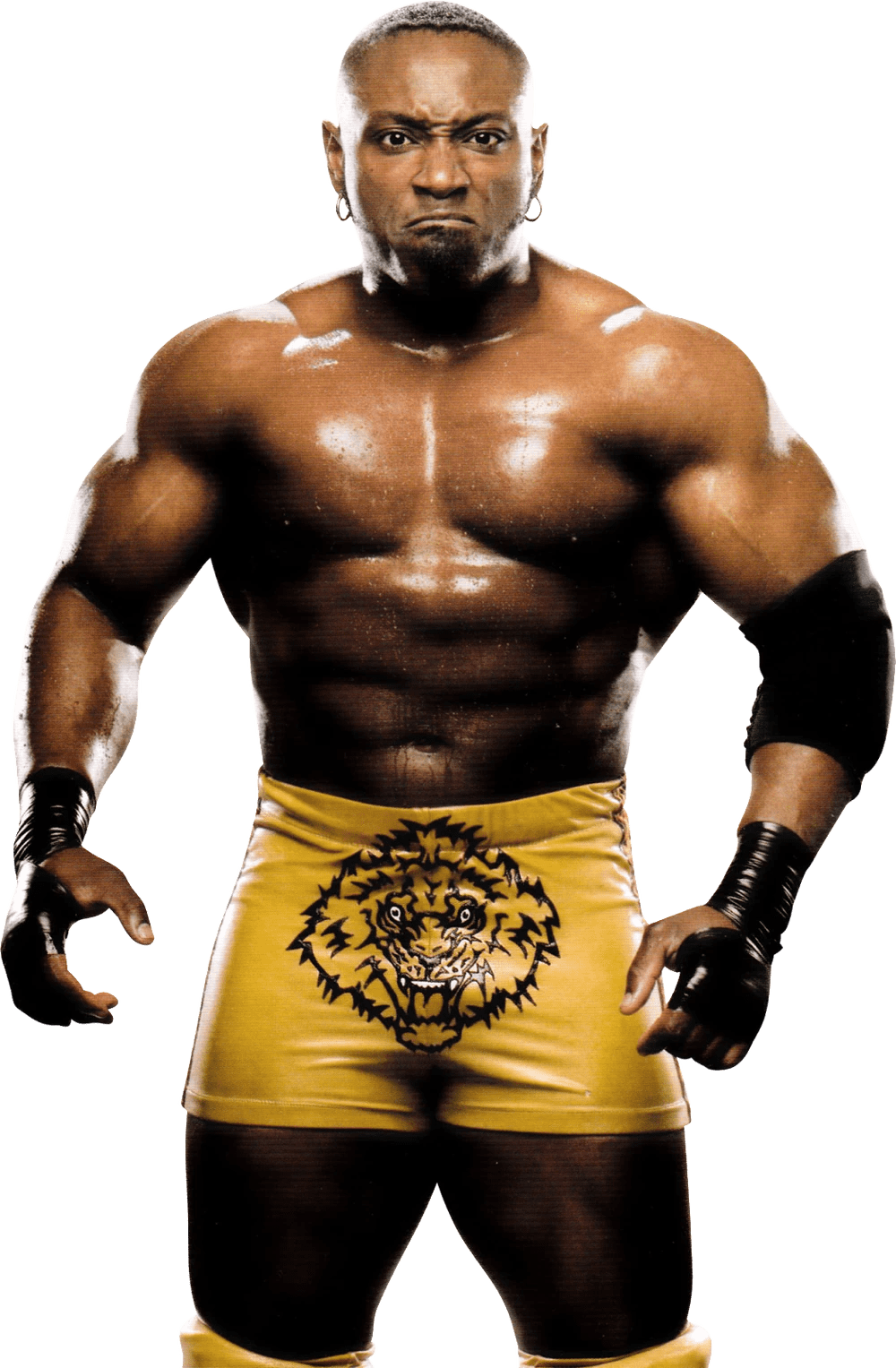 Pro Wrestling Fandom 